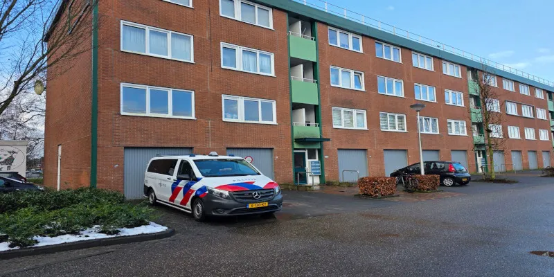 Dutch Woman Arrested for Sending Drugs Through Mail to Foreign Countries