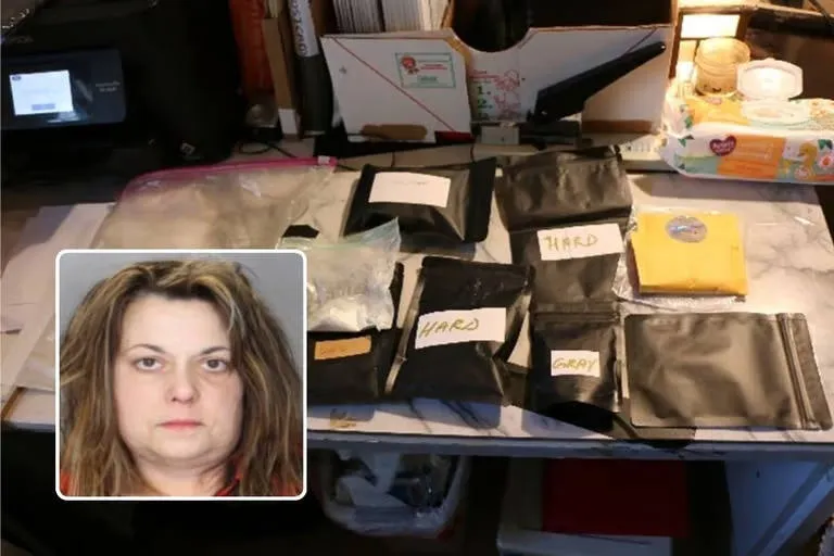 Dark Web Narcotics Vendor: "Mamaknowsbrown" Pleads Guilty
